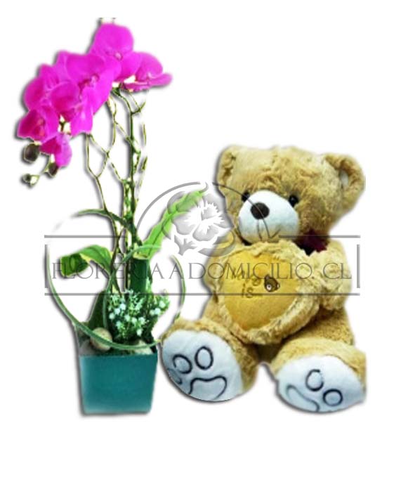 Fina Orquidea y Peluche 60cm